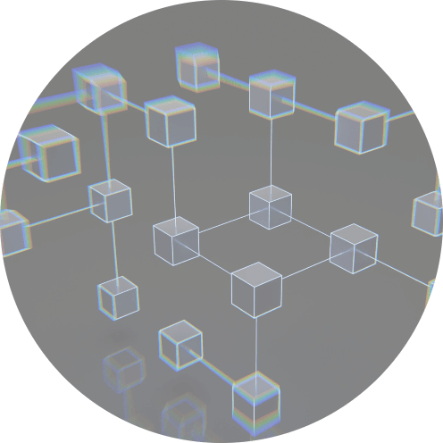 who 콘텐츠 이미지3